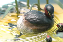 �J�C�c�u��