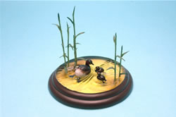 �J�C�c�u��