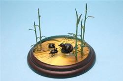 �J�C�c�u��