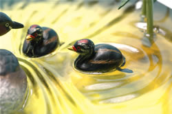 �J�C�c�u��