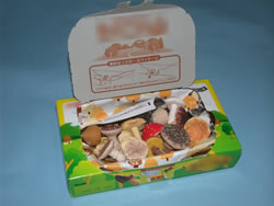 �ł��́��̎R