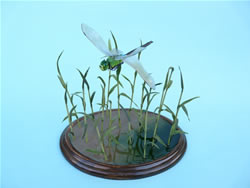 �M�������}