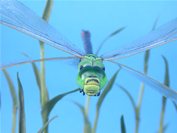 �M�������}