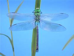 �M�������}