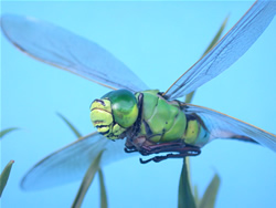 �M�������}