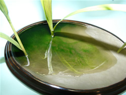 �M�������}