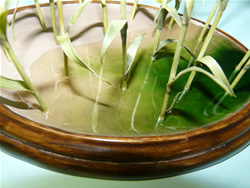 �M�������}