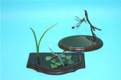 �g���t�g���{