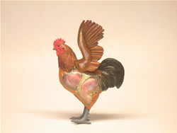 ���É��R�[�`��