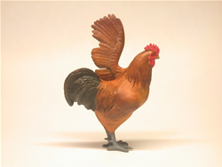 ���É��R�[�`��