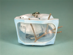 ���C�`���E�i�~�сj