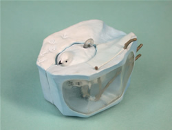 ���C�`���E�i�~�сj