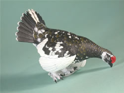 ���C�`���E�i�Ėсj