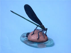 �n�O���g���{