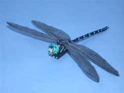 �I�I�����{�V�����}