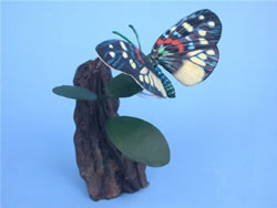 �T�c�}�j�V�L