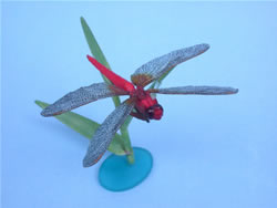 �V���E�W���E�g���{