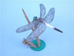 �V�I�J���g���{