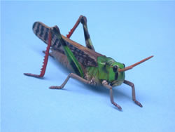 �g�m�T�}�o�b�^