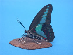 �A�I�X�W�A�Q�n