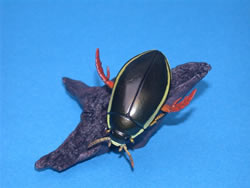 �Q���S���E