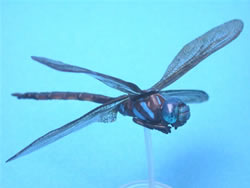 �}���^�������}